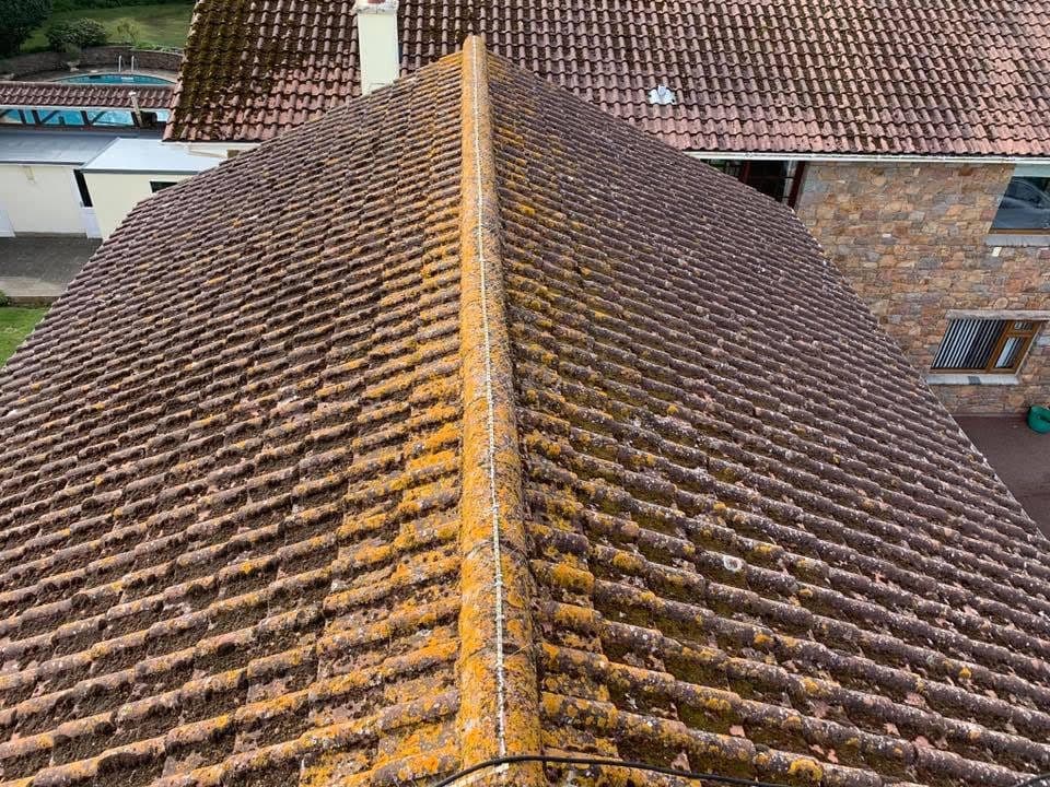 Before: clay tile roof covered in moss and orange lichen
